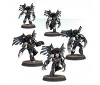 Raven Guard Dark Fury Assault Squad